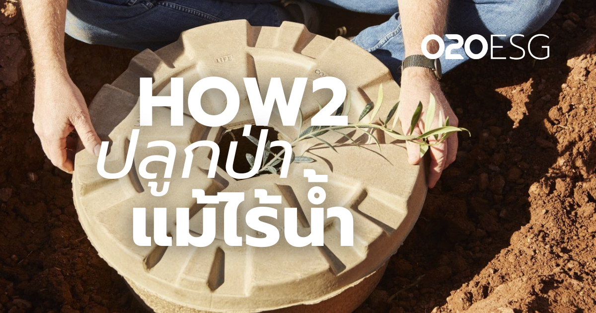 SUSTAINABILITY : รังไหมรีไซเคิล นวัตกรรมช่วยต้นกล้าเติบโต เพิ่มอัตรารอด 9 เท่า แม้ในสภาพอากาศสุดขั้ว