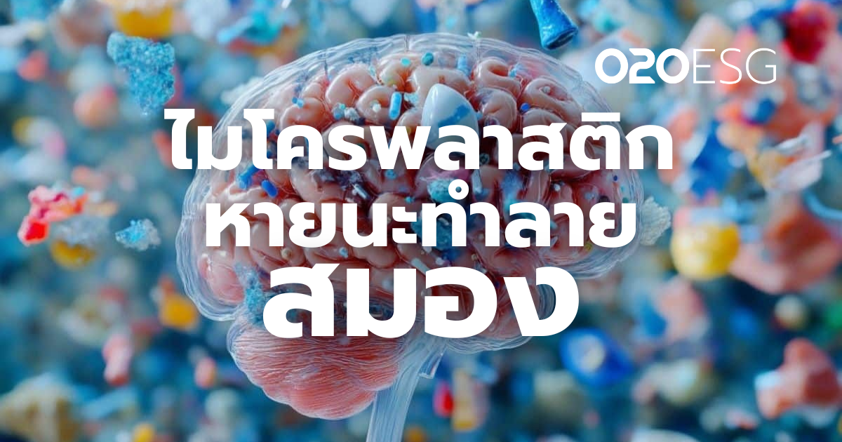 SUSTAINABILITY : ไมโครพลาสติกในสมองมนุษย์พุ่งสูง นักวิจัยเตือนภัยเงียบจากมลพิษพลาสติก